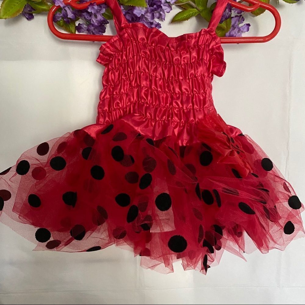 Rubies Lady bug tutu - Picture 4 of 8